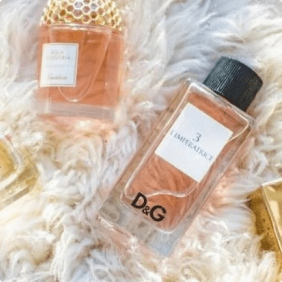 أفضل العطور النسائية والرجالية لعام 2025 في المملكة