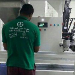 Green Island - Packaging Factory