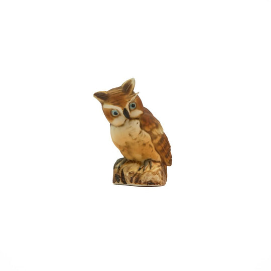 Vintage napoli capidomente brown owl on branch