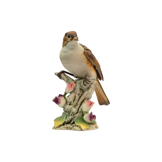 Vintage napoli capidomente birds on branch roses