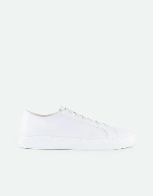 Load image into Gallery viewer, Echo - Snow
