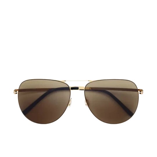 POLARIZED AVIATOR SUNGLASSES – BROWN