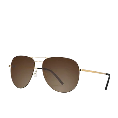 POLARIZED AVIATOR SUNGLASSES – BROWN