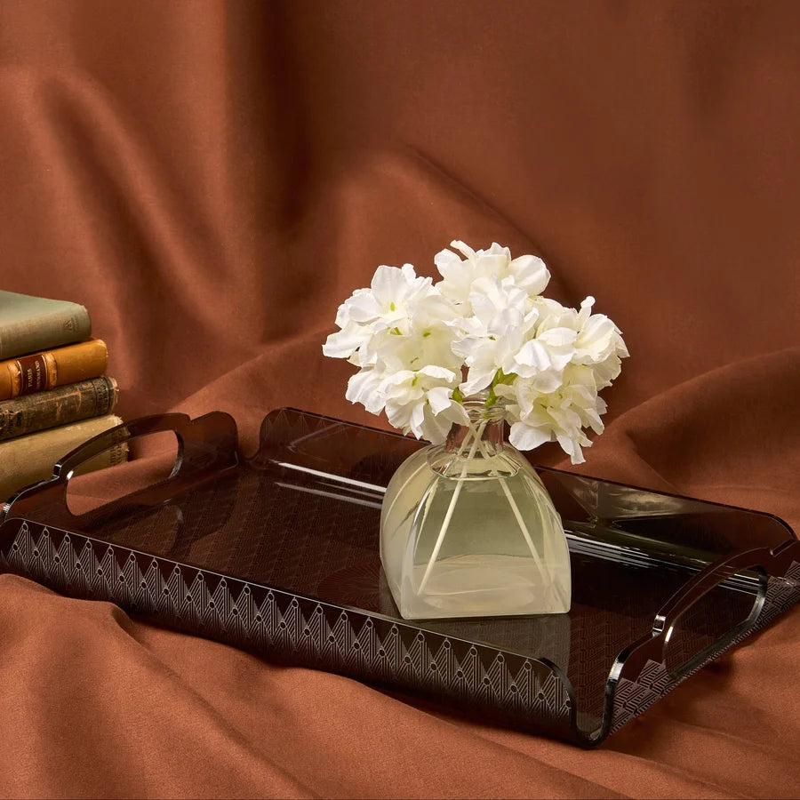 Acrylic Trays Intreva clear