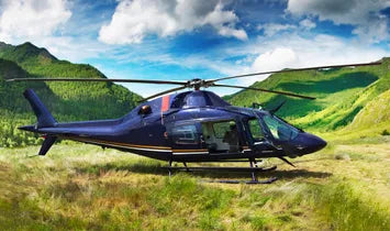 Load image into Gallery viewer, Agusta Westland AW119Ke Koala
