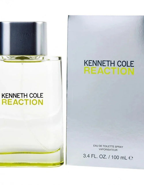 Load image into Gallery viewer, KENNETH COLE REACTION FOR MEN EDT 100ML
