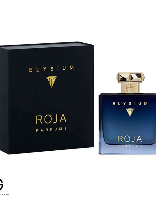 Load image into Gallery viewer, ROJA Elysium Pour Homme 100ml EDP for Men
