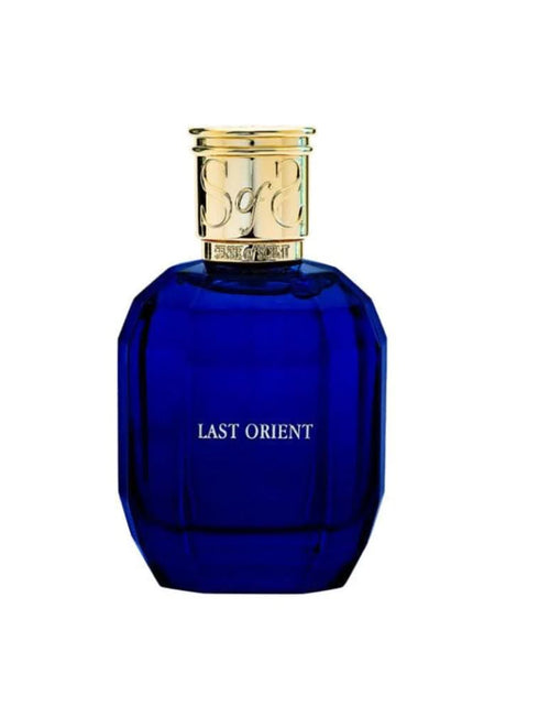 Load image into Gallery viewer, LAST ORIENT EDP 100 ML
