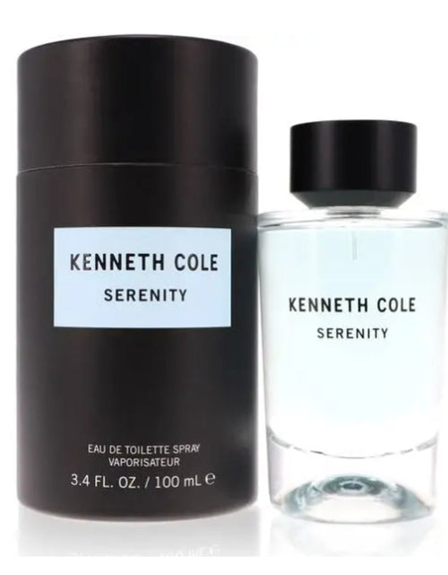 Load image into Gallery viewer, KENNETH COLE Serenity  100ml EDT for Men
