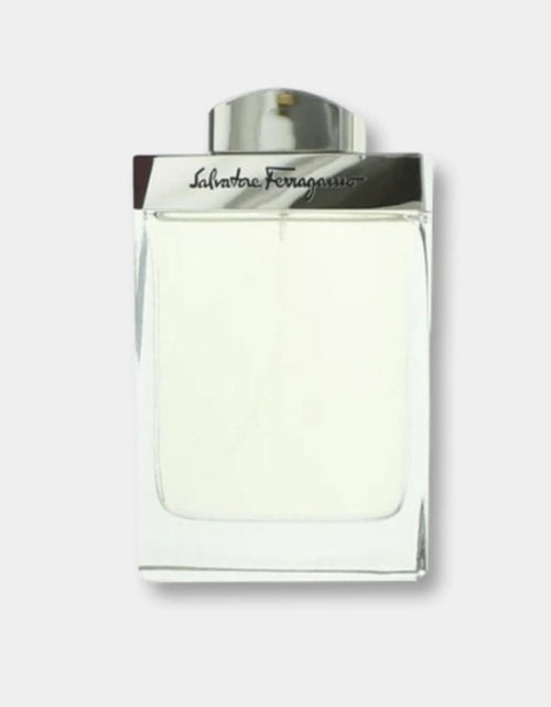 Load image into Gallery viewer, POUR HOMME MEN EDT 100ML
