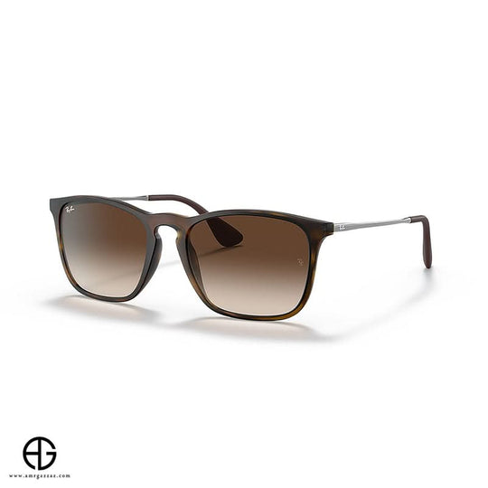 Sunglasses RAY BAN Iconic Look Man 2