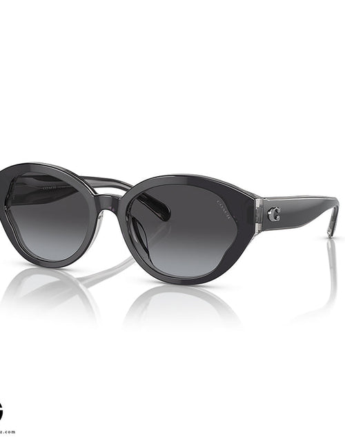 Load image into Gallery viewer, Sunglasses COACH Urban Edge Woman 1
