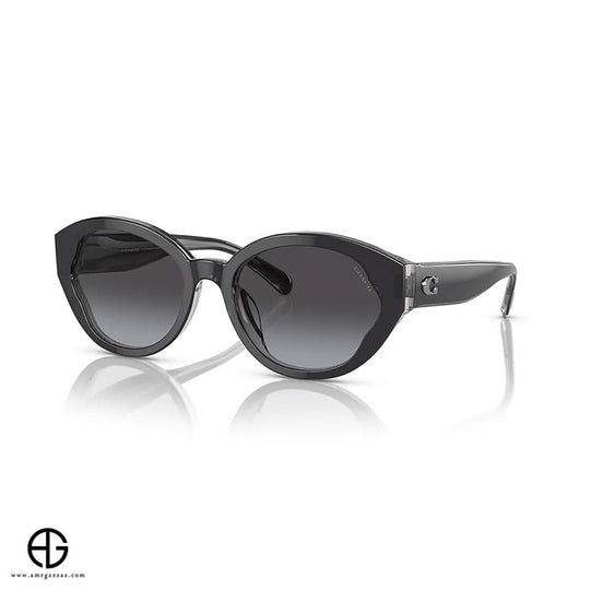 Sunglasses COACH Urban Edge Woman 1