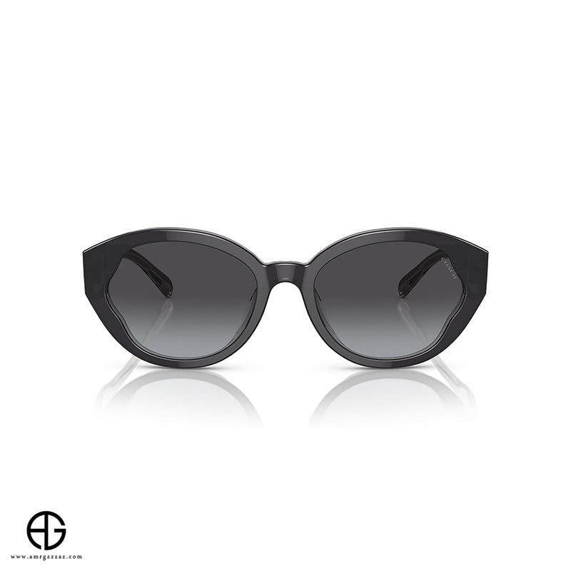 Sunglasses COACH Urban Edge Woman 1