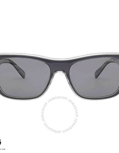 تحميل الصورة إلى عارض المعرض، نظارات شمسية COACH Timeless Appeal للرجال 1

