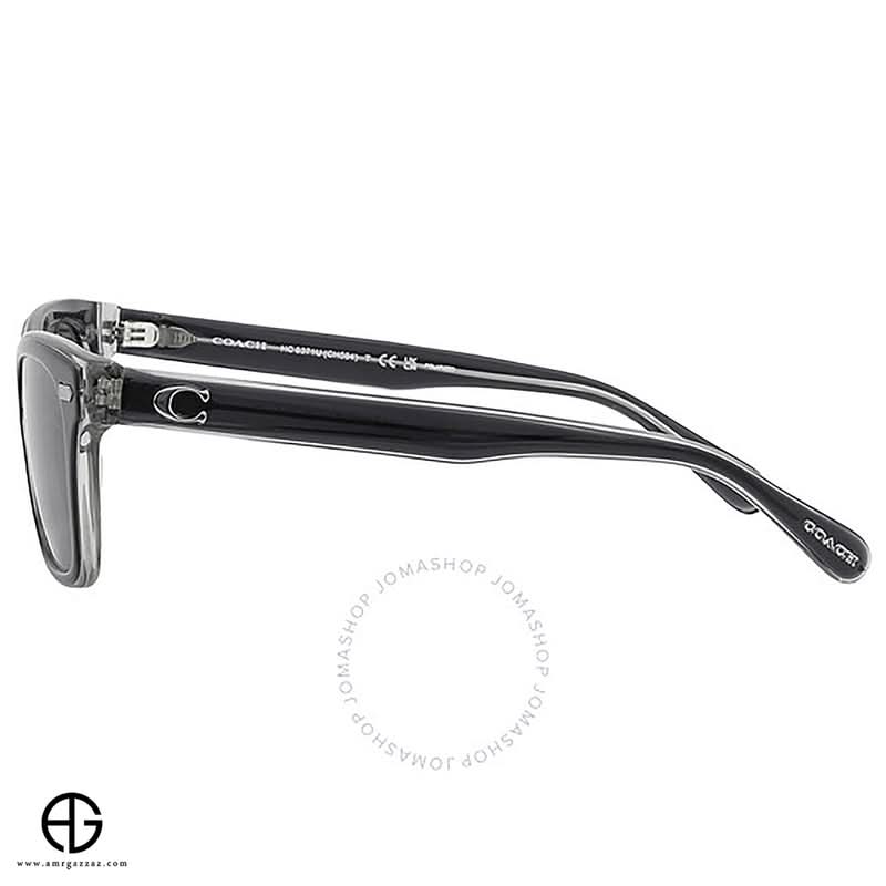 نظارات شمسية COACH Timeless Appeal للرجال 1