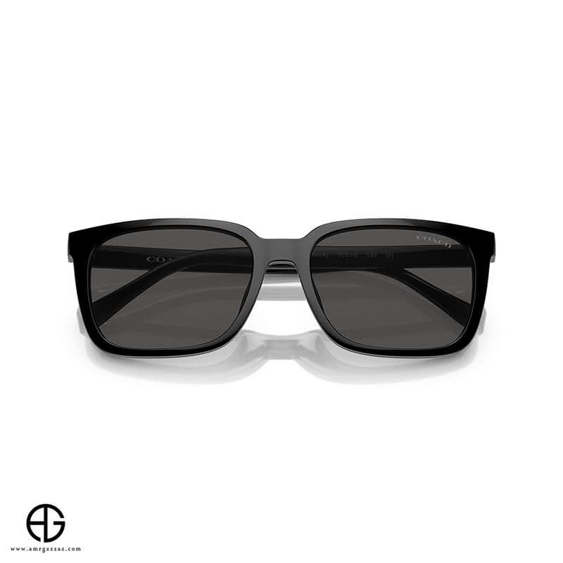 نظارات شمسية COACH Sleek Finish Man 2