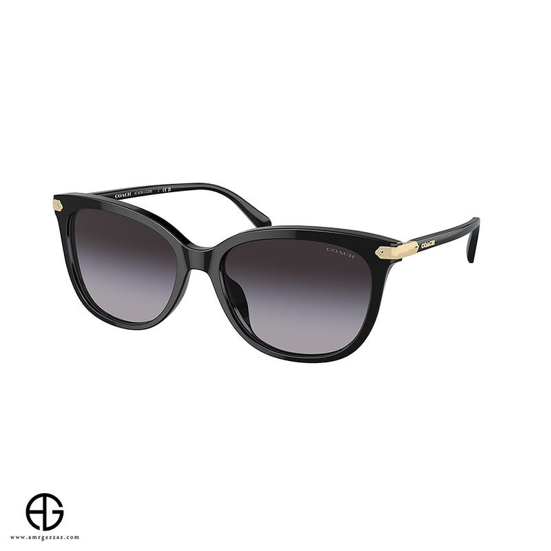 Sunglasses COACH Classic Charm Woman 2