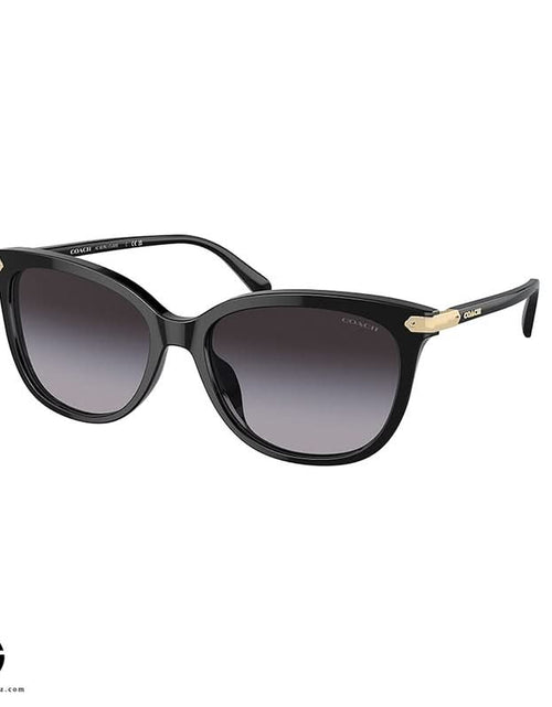 Load image into Gallery viewer, Sunglasses COACH Classic Charm Woman 2
