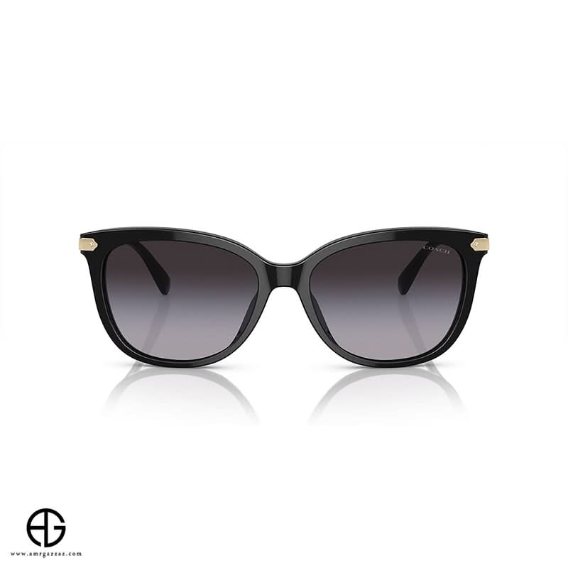 Sunglasses COACH Classic Charm Woman 2