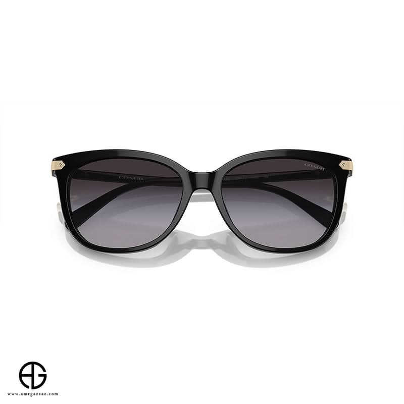 Sunglasses COACH Classic Charm Woman 2