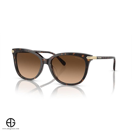 Sunglasses COACH Classic Charm Woman 3