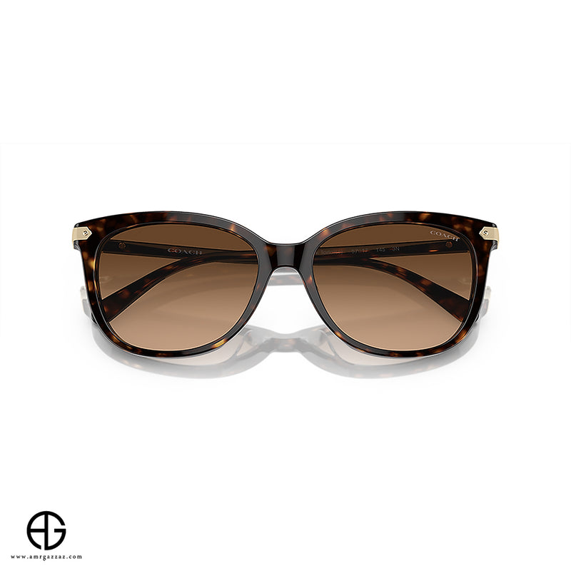 Sunglasses COACH Classic Charm Woman 3