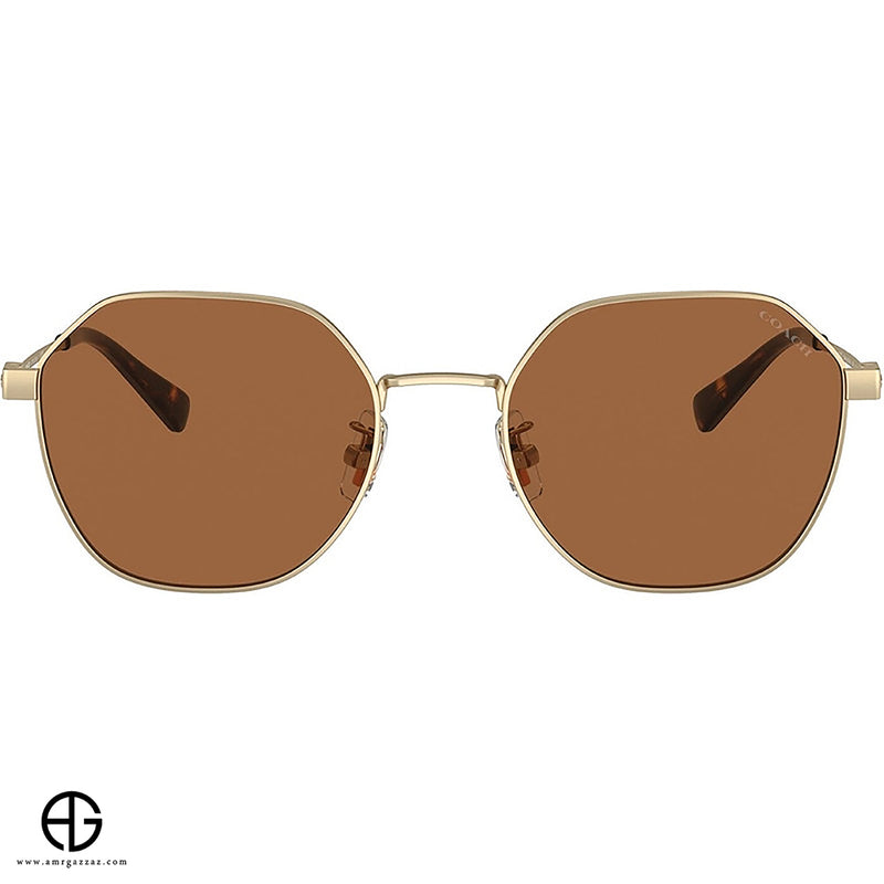 Sunglasses COACH Sleek Finish Man 4