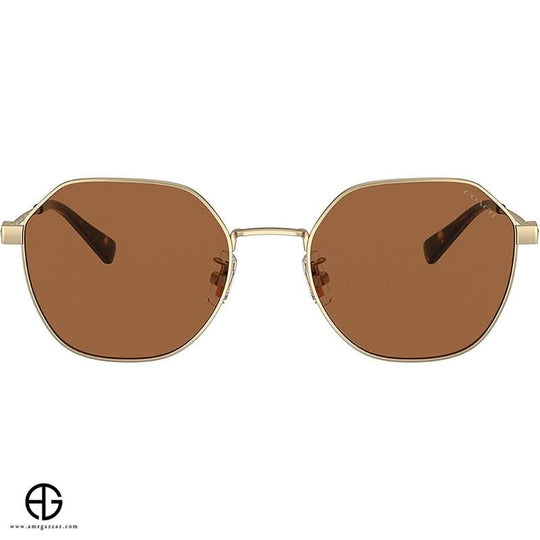 Sunglasses COACH Sleek Finish Man 4