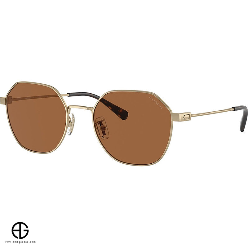 Sunglasses COACH Sleek Finish Man 4