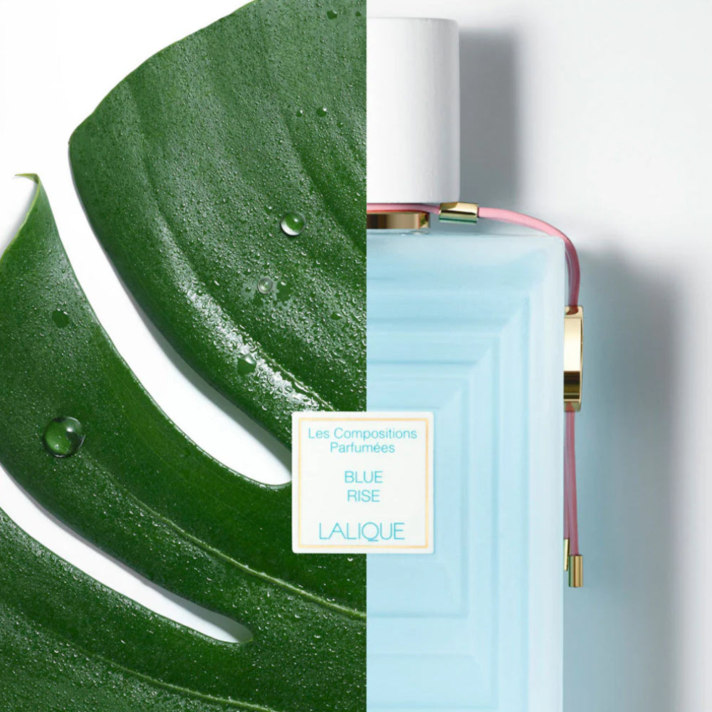 LALIQUE Blue Rise 100ml EDP for Women
