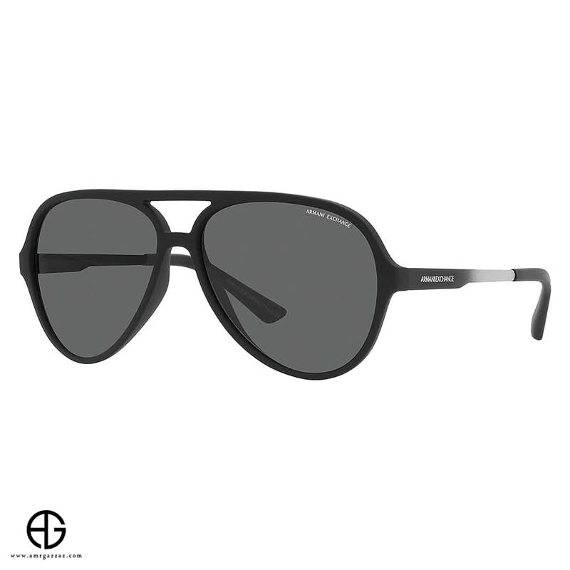 Sunglasses ARMANIEXCHANGE Everyday Elegance 142