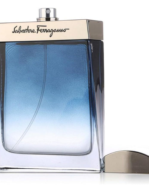 تحميل الصورة إلى عارض المعرض، FERRAGAMO Subtil Pour Homme 100ml EDT for Women
