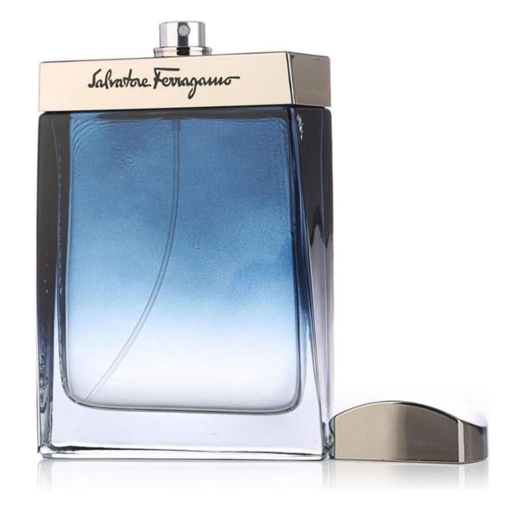 SUBTIL POUR HOMME EDT 100ML