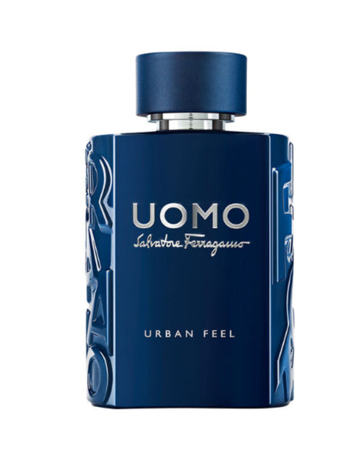 Load image into Gallery viewer, FERRAGAMO Uomo Urban Feel 100ml EDT for Men
