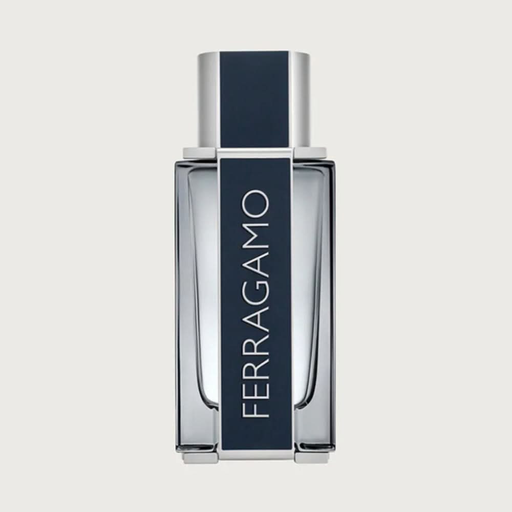 FERRAGAMO MEN EDT 100ML