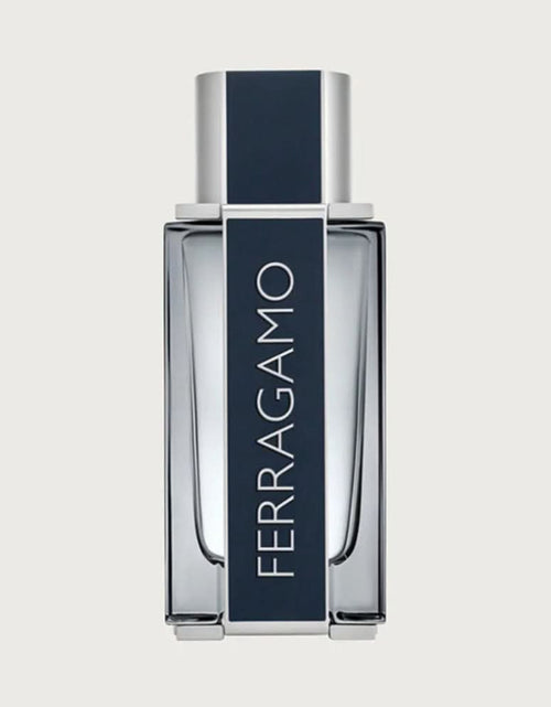 Load image into Gallery viewer, FERRAGAMO MEN EDT 100ML
