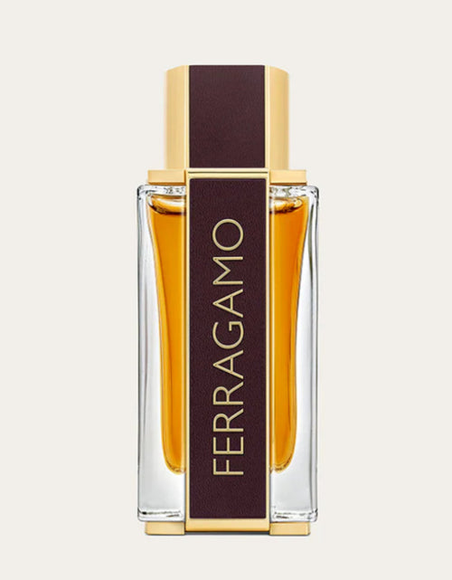 Load image into Gallery viewer, FERRAGAMO Spicy Leather Parfums 100ml EDP for Men
