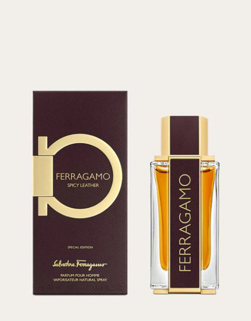 Load image into Gallery viewer, FERRAGAMO Spicy Leather Parfums 100ml EDP for Men
