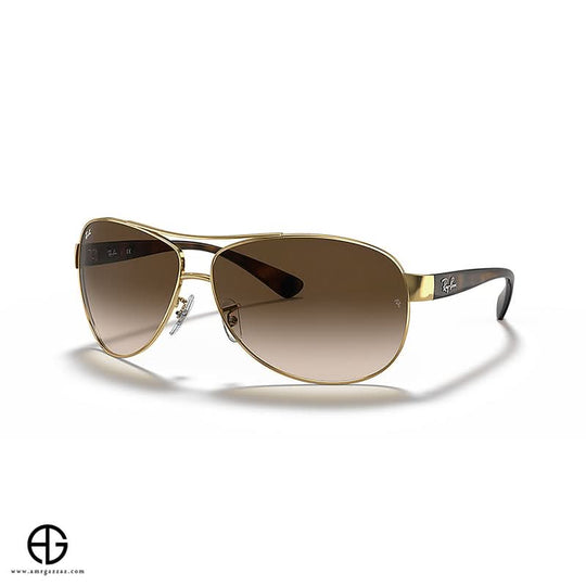Sunglasses RAY BAN Iconic Look Man 3