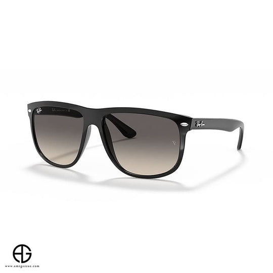 Sunglasses RAY BAN Everyday Elegance Man 9