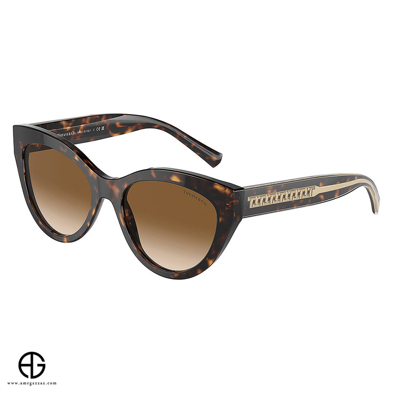 Sunglasses TIFFANY Timeless Appeal Woman 10