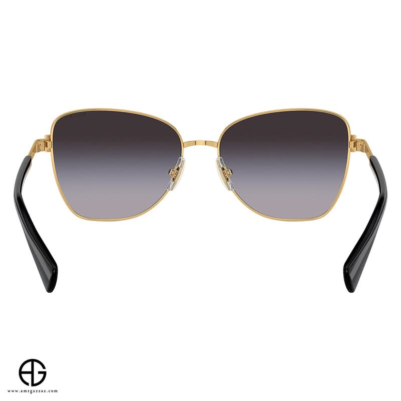 Sunglasses RALPH LAUREN Everyday Elegance Woman 19