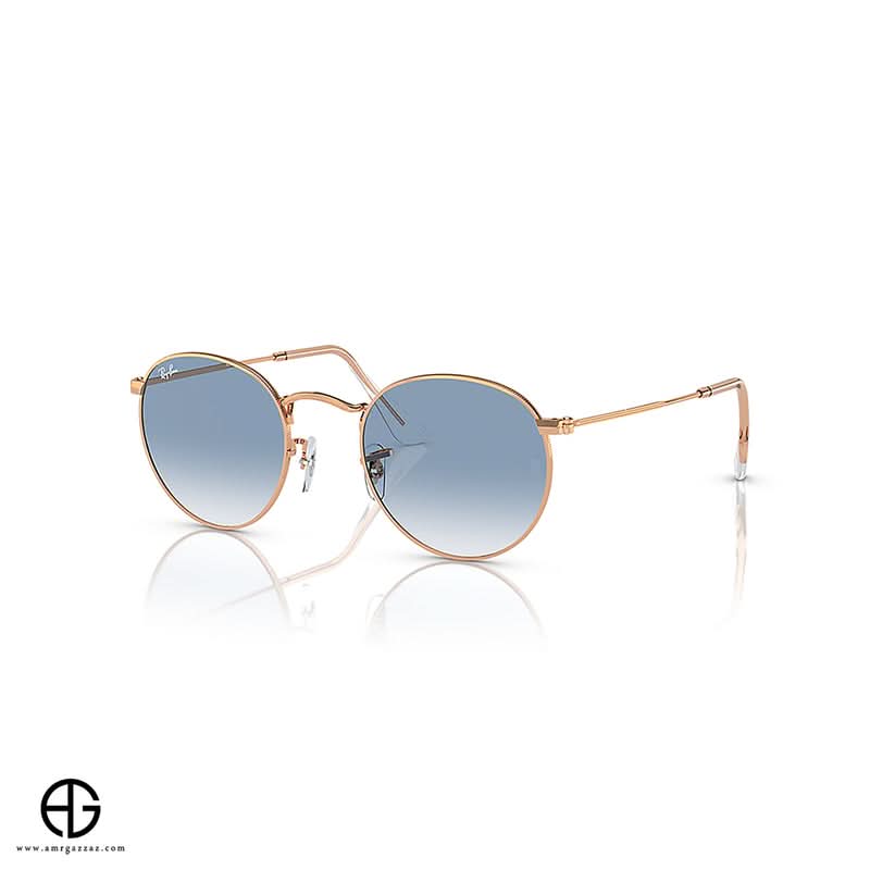 Sunglasses RAY BAN Everyday Elegance Man 25