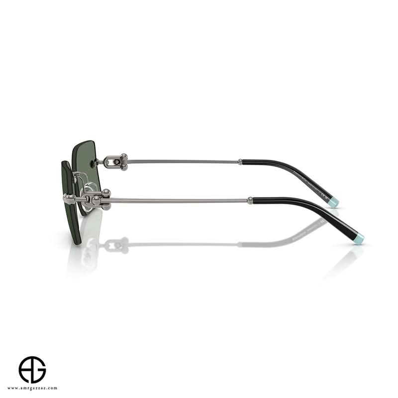 نظارات شمسية تيفاني تايملس أبيل للجنسين 6