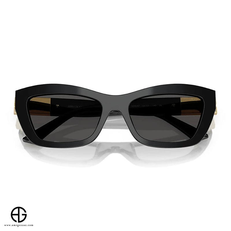 Sunglasses JIMMY CHOO Sleek Finish Woman 37