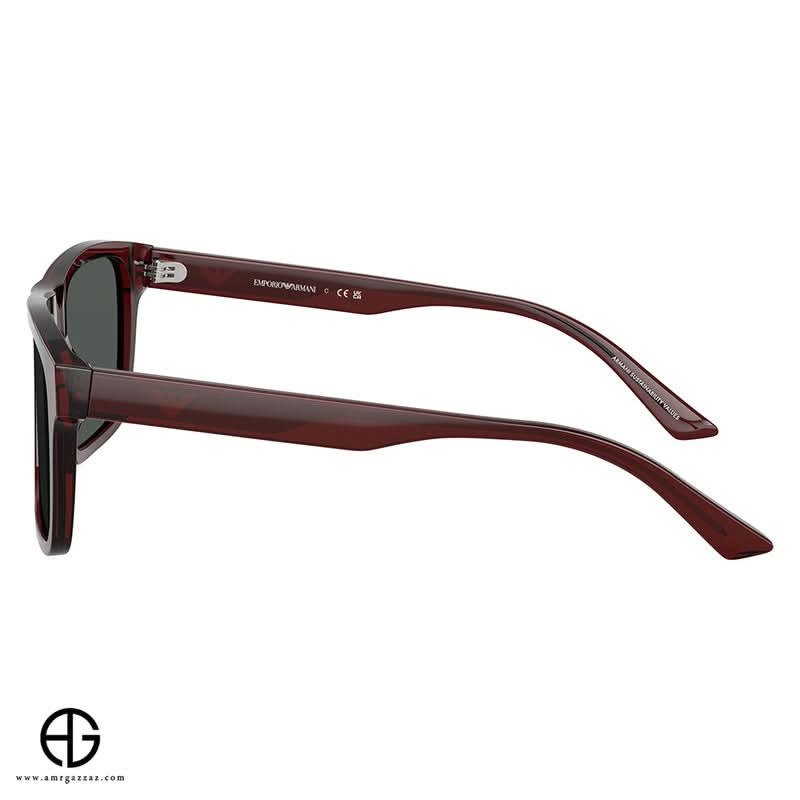 Sunglasses EMPORIO ARMANI Iconic Look 54