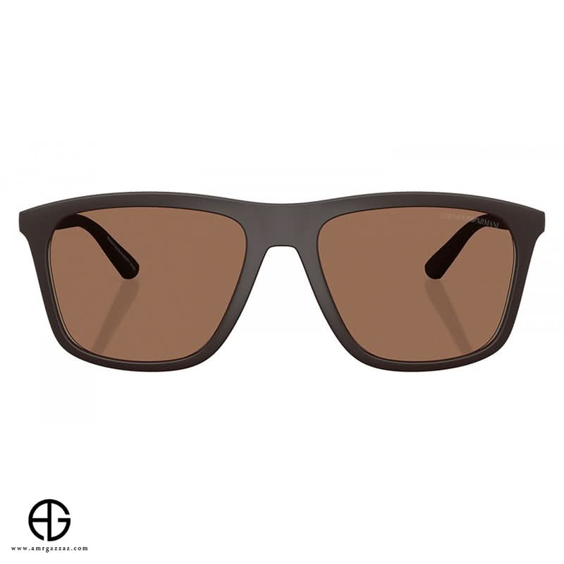 Sunglasses EMPORIO ARMANI Iconic Look 65