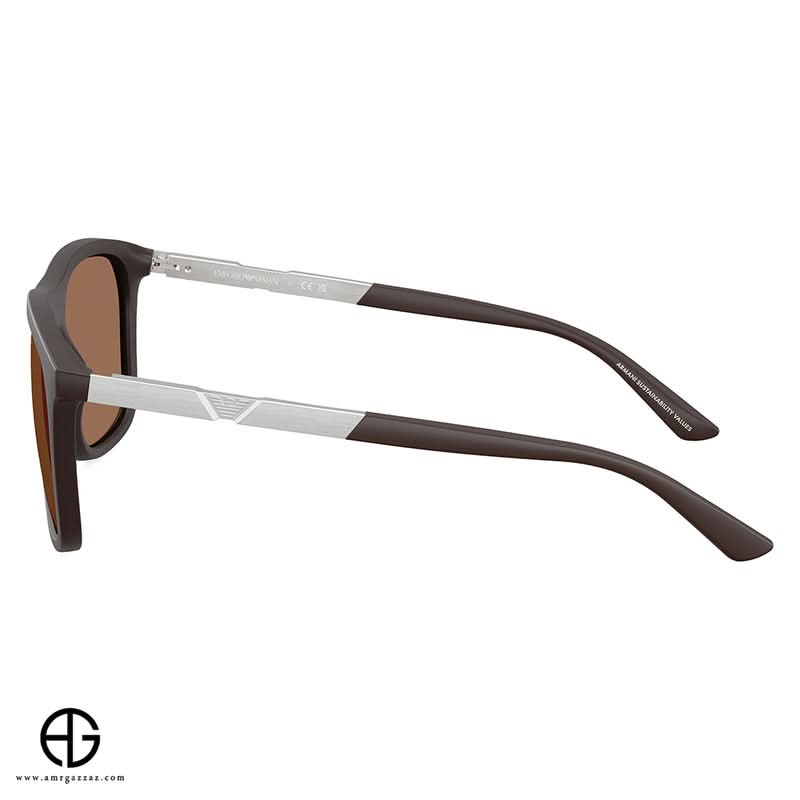 Sunglasses EMPORIO ARMANI Iconic Look 65