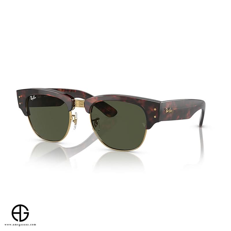 Sunglasses RAY BAN Everyday Elegance Unisex 343